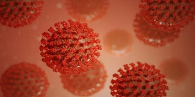 virus