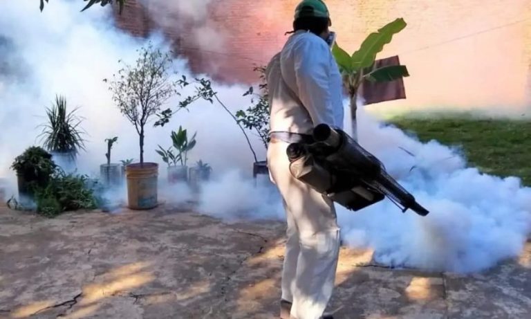 dengue-