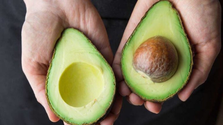 palta
