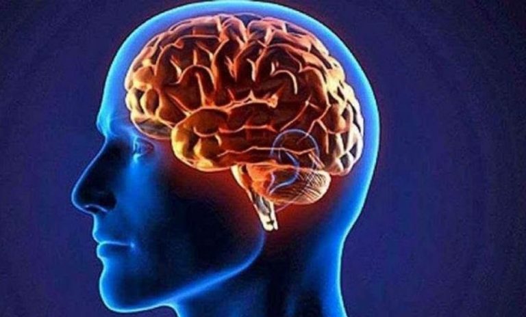 cerebro