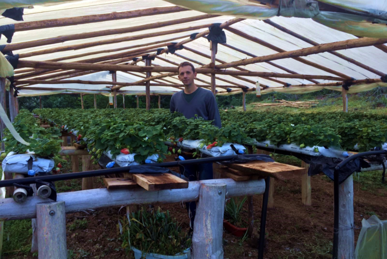 productores