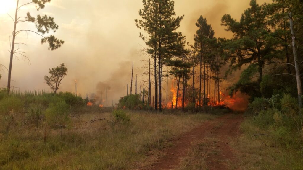incendios mnes