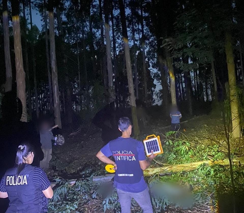 accidente muerto eucaliptus